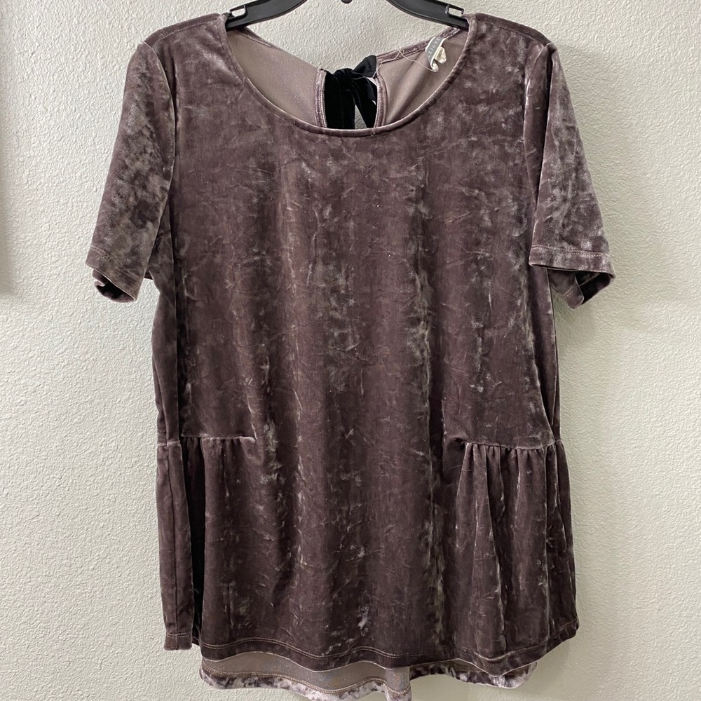 Pleione Velvet top